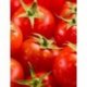 Tomates