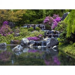 Cascata Jardim Zen Lilá