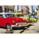 Carros Clássicos na Havana