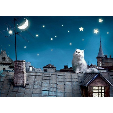 Gato no Telhado de Noite