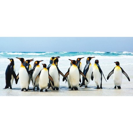 Pinguins Imperador sobre a Praia