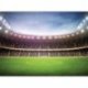 Campo de Futebol no Meio do Estadio