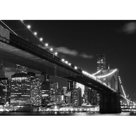 Luzes em Preto e Branco Ponte de Brooklyn