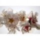 Fotografia Detalhe Flores Brancas