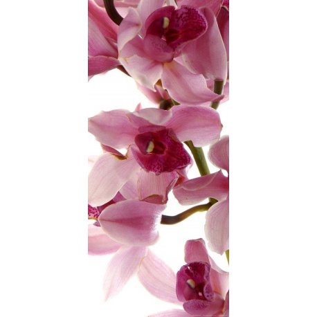 Ramo de Flores Lilás