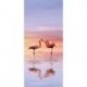 Flamingo na Água ao Pôr do Sol