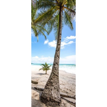 Palmeira na Praia Tropical