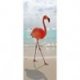 Flamingo Caminhando na Praia