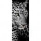 Rosto de Leopardo em Preto e Branco