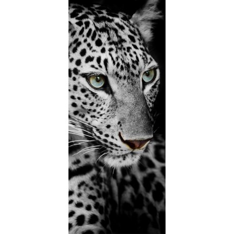 Rosto de Leopardo em Preto e Branco