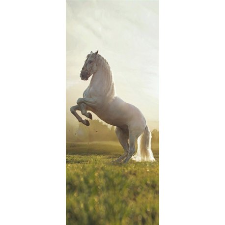 Cavalo Branco Rampante