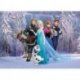 Protagonistas Frozen no Bosque