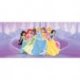 Baile no Palácio Princesas Disney