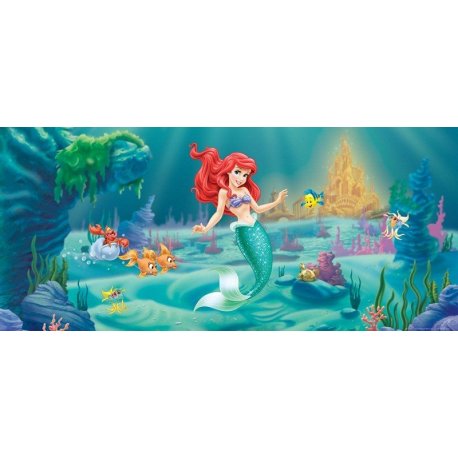 Ariel e os Amigos da Pequena Sereia