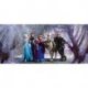 Frozen no Bosque de Inverno