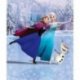 Frozen Patinagem no Gelo