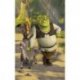 Shrek Burro e o Gato de Botas Juntos