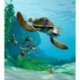 Viagem em Tartaruga de Nemo e Dory