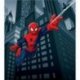 Homem-Aranha Voo com Teias de Aranha