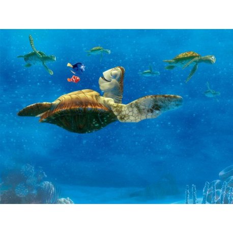 À Procura de Nemo Viagem com Tartaturas