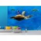 À Procura de Nemo Viagem com Tartaturas