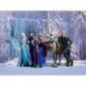 Frozen a Rainha da Neve Protagonistas