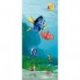 À Procura de Nemo junto à Dory