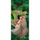 Mogli e Baloo na Selva