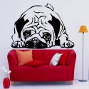 Cães