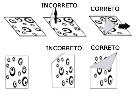 Correto o Incorreto